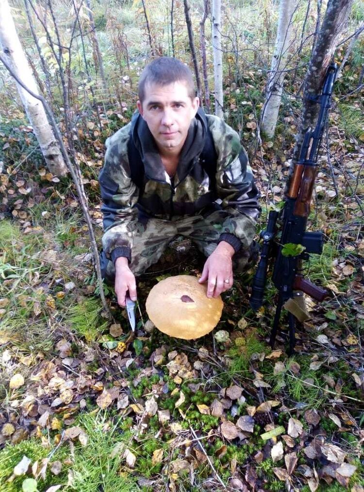 ���������� �������������, ���� ������� ����, 44 ����, ������������ ��� ������, ����� � ���������, c�������� ���������