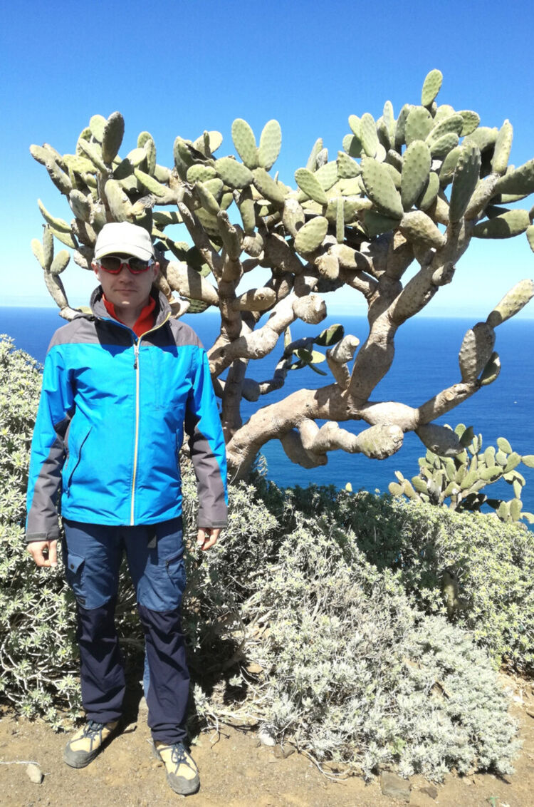 ���������� �������, ���� ������� ������, 45 ���, ������������ ��� ������, ����� � ���������