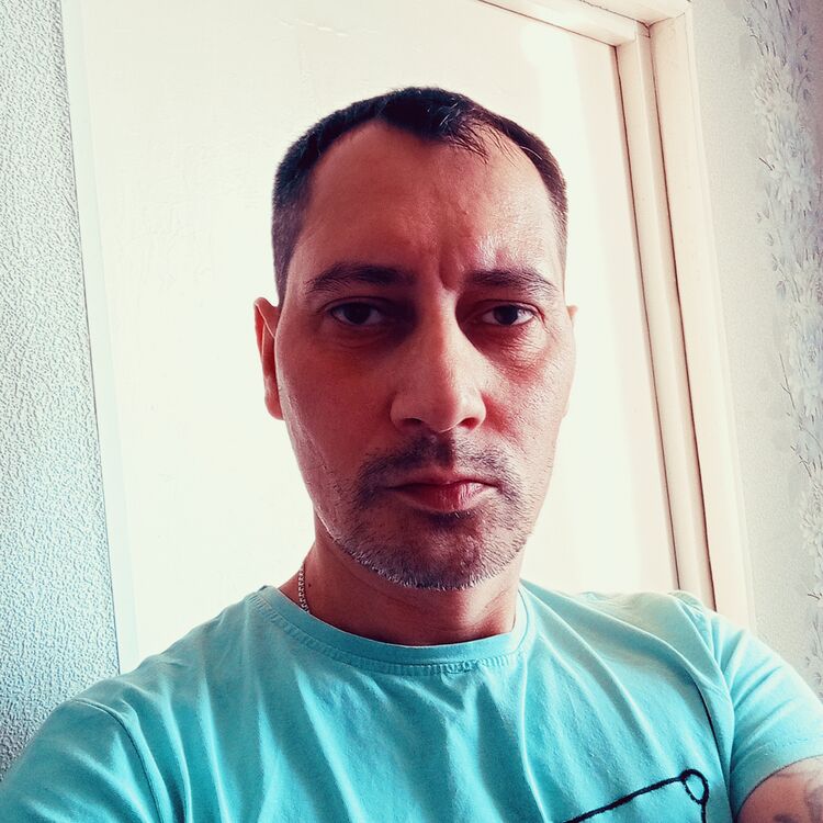  53287568  , 41 ,    
