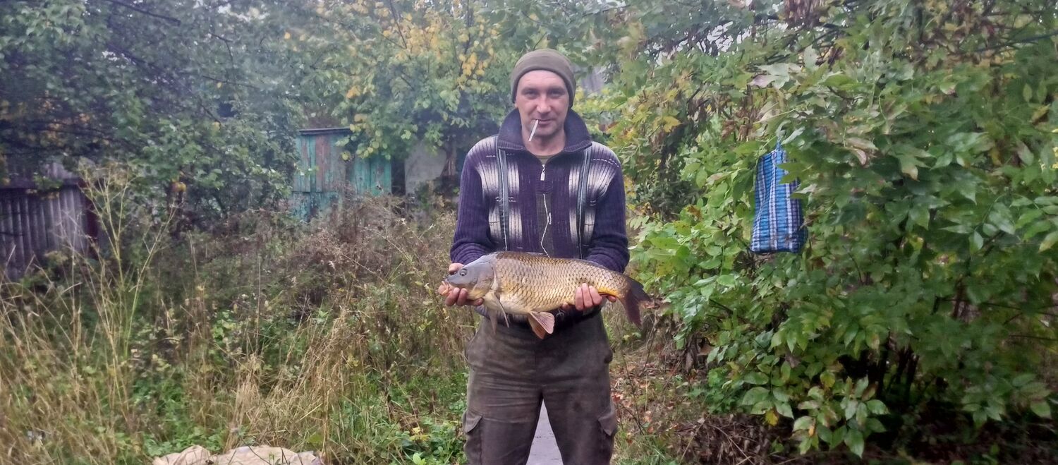 ���� 39545558 ������� �����, 41 ���, ���� ���������� � ��������