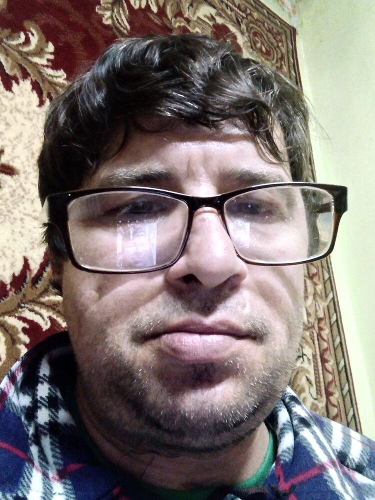  31481288  , 43 ,    