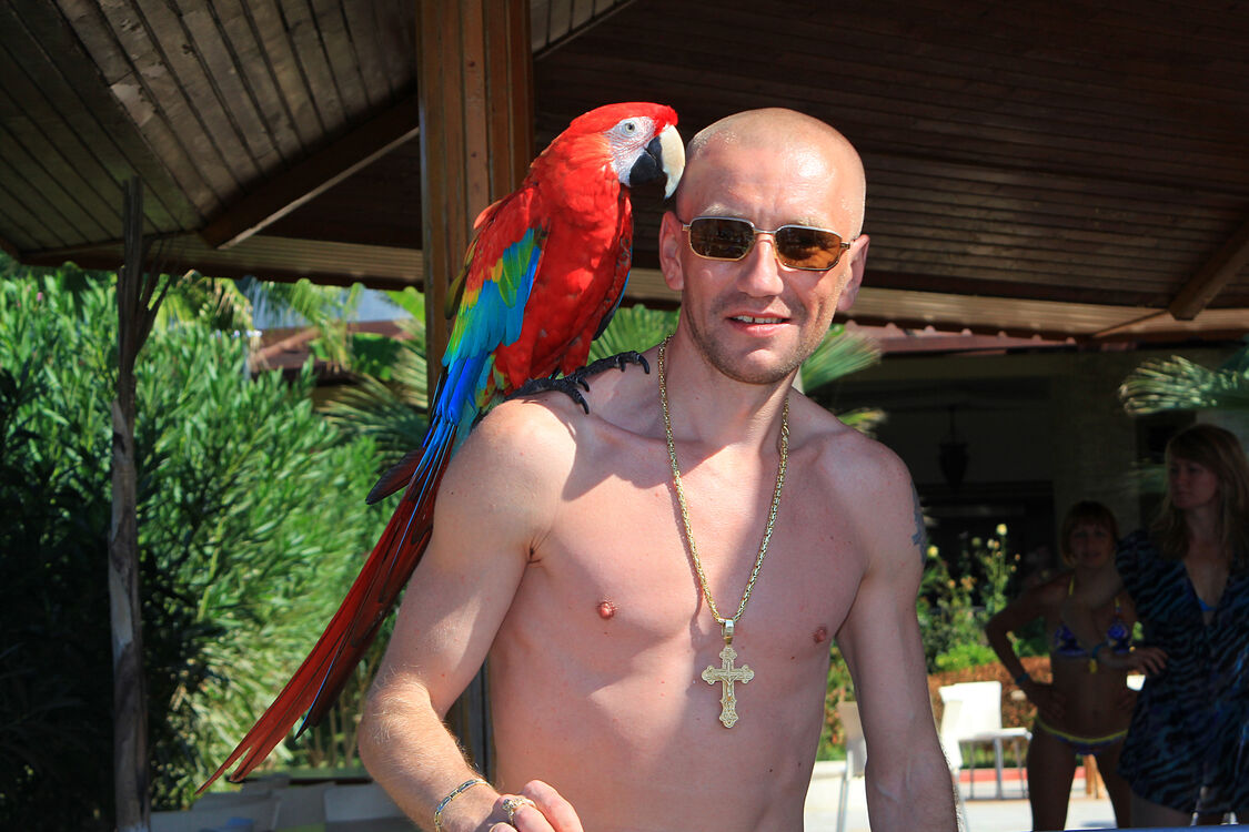 ���������� ������, ���� ������� ����, 48 ���, ������������ ��� ������, ����� � ���������, c�������� ���������, ���������