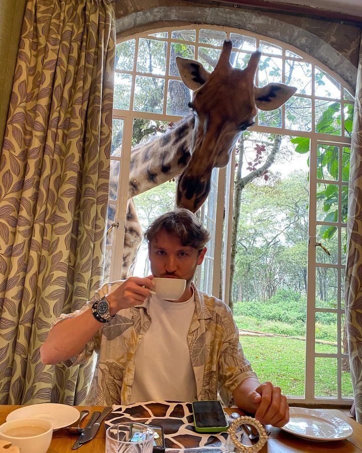 ���� 37491338 ������� ����, 37 ���, ���� ���������� � ������