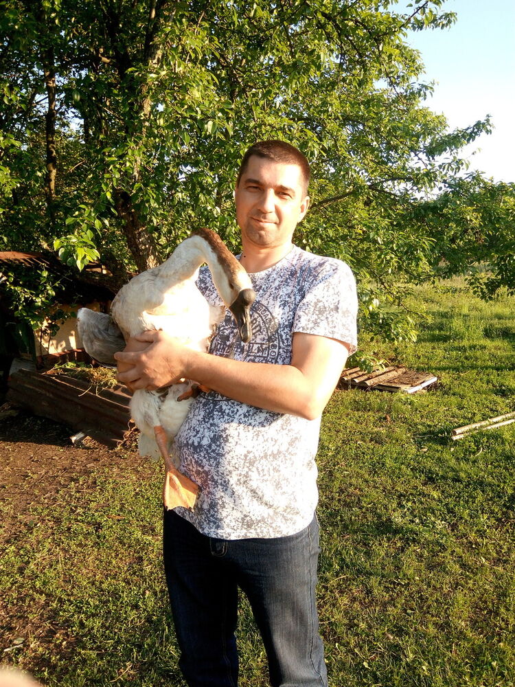  ,   Vlad, 52 ,   ,   , c 