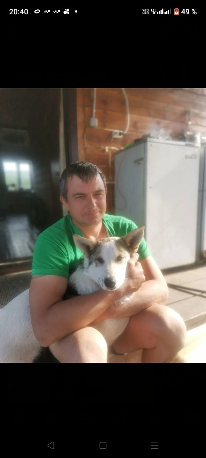 ���� 55175628 ������� �����, 42 ����, ���� ���������� � ��������