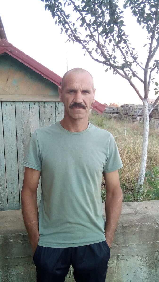  ,   , 50 ,  