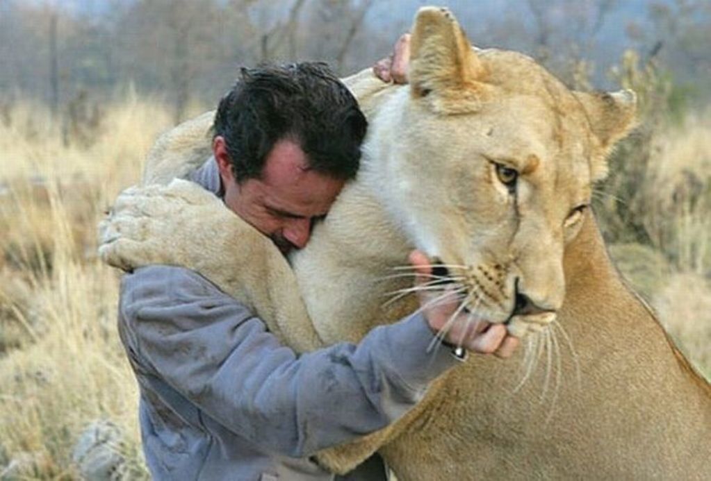  4543868  Roland, 45 ,    