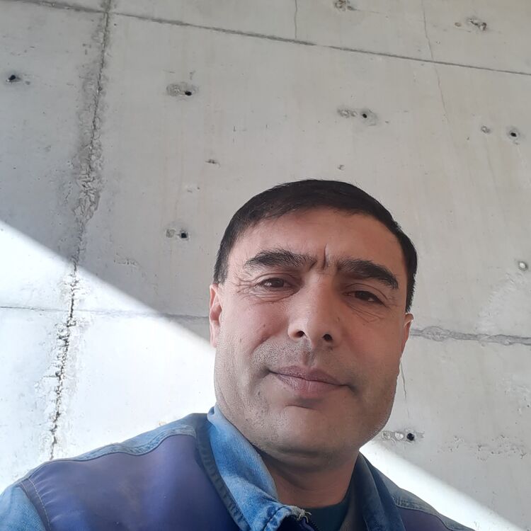  39392718  , 43 ,    