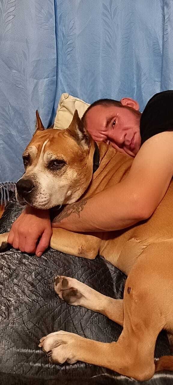 ���� 55344718 ������� �����, 42 ����, ���� ���������� � ��������������