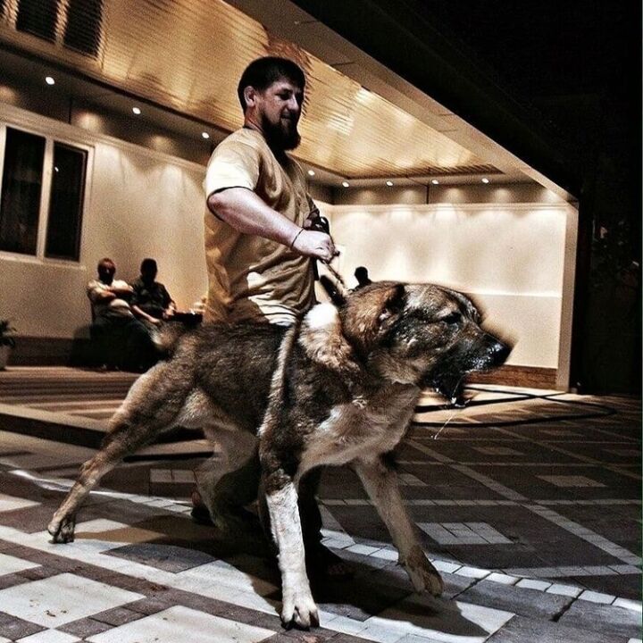 ���������� ����, ���� ������� �����, 32 ����, ������������ ��� ������, ����� � ���������, c�������� ���������