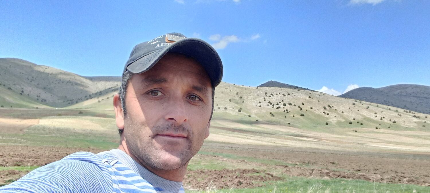 ���������� ����, ���� ������� ������, 37 ���, ������������ ��� ������, ����� � ���������