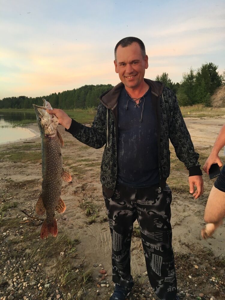 ���� 16157388 ������� ������, 50 ���, ���� ���������� � �������