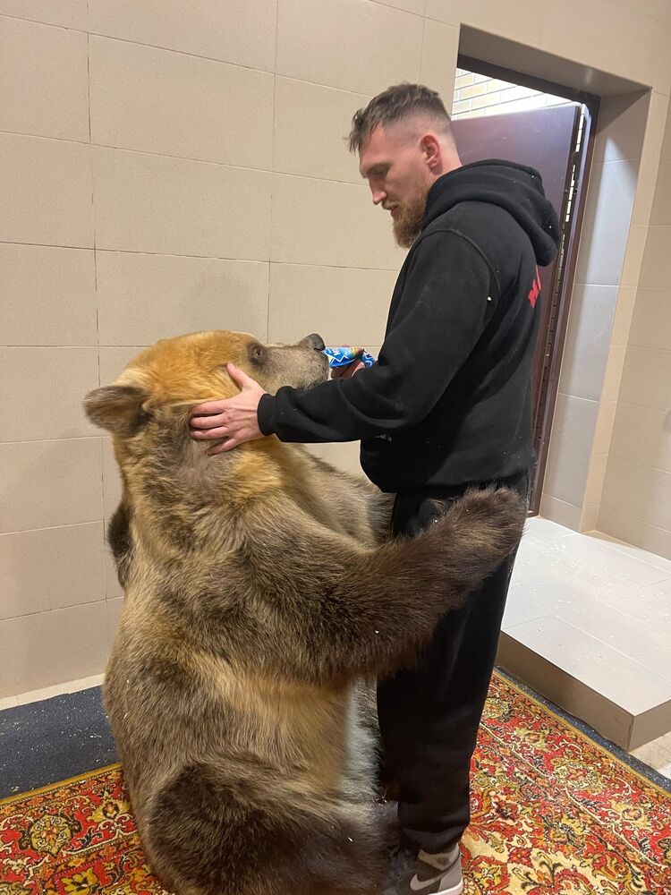 ���������� ������, ���� ������� �������, 39 ���, ������������ ��� ������, ����� � ���������, c�������� ���������, ���������