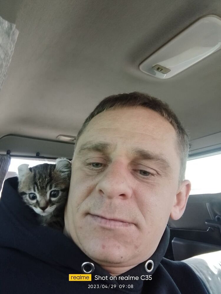 ���� 35055508 ������� ����, 38 ���, ���� ���������� � ����������