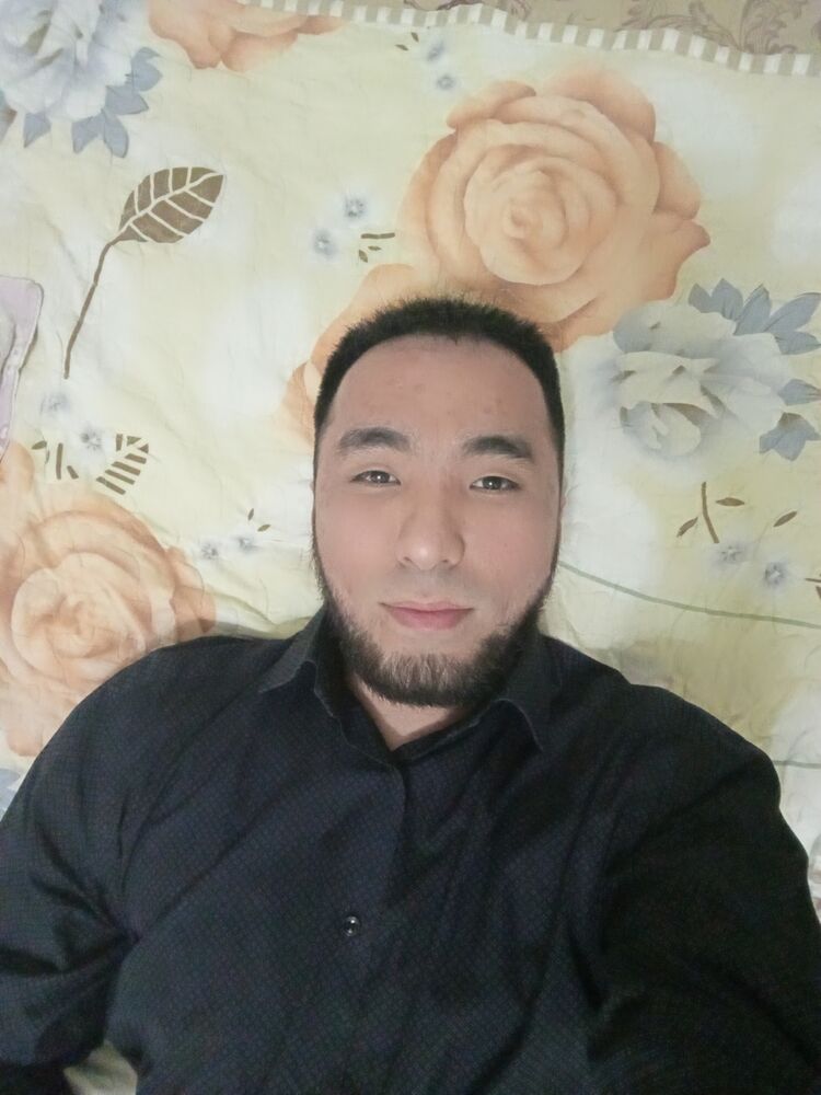  48221818  , 31 ,    
