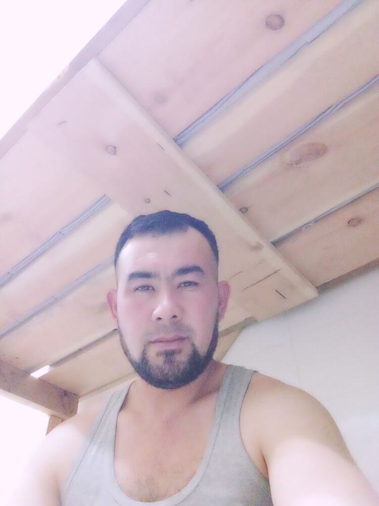  29425808  , 39 ,    -