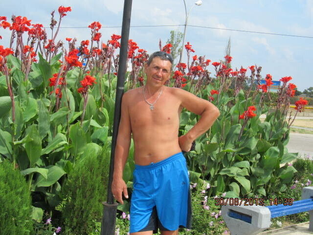 ���������� �����������, ���� ������� ���������, 57 ���, ������������ ��� ������, ����� � ���������, c�������� ���������