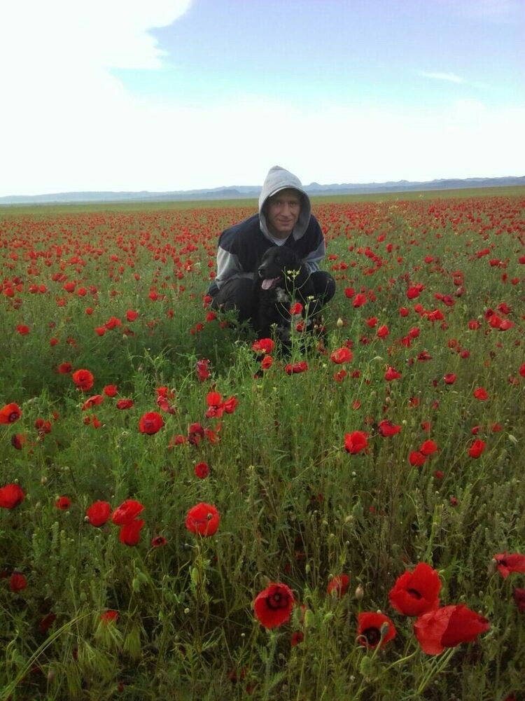 ���� 33567518 ������� ������, 41 ���, ���� ���������� � ������