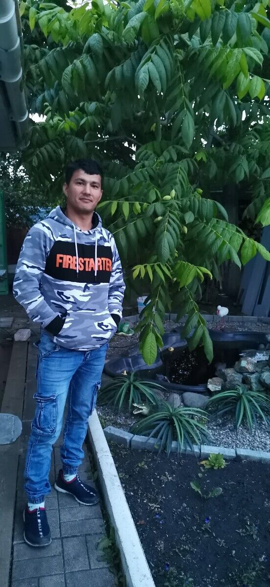 ���� 20402638 ������� ����, 33 ����, ���� ���������� � ����������