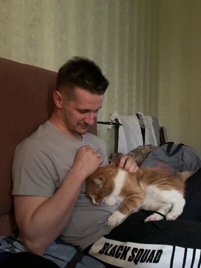  -,   , 33 ,   ,   
