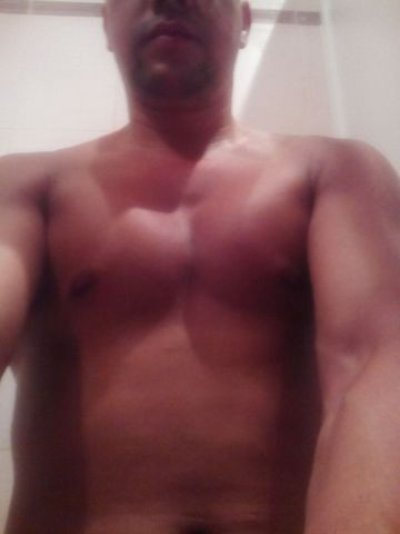  8416758  , 40 ,    