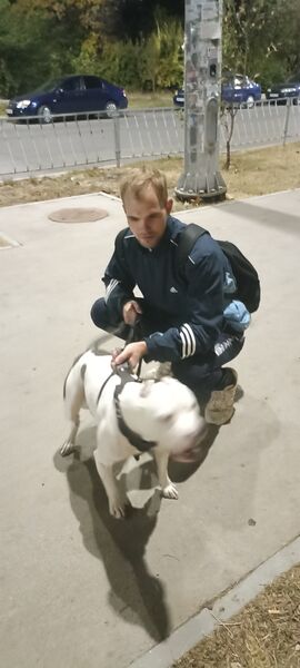  ,   Vlad, 23 ,     , c , 