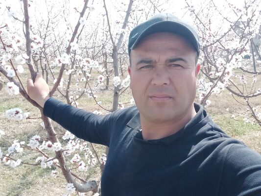  ,   , 43 ,   ,   , c , 