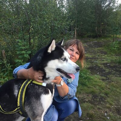  ,   , 55 ,  