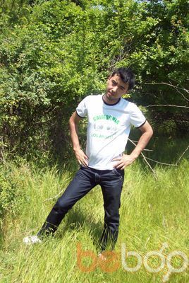  ,   Timur, 40 ,     , c 