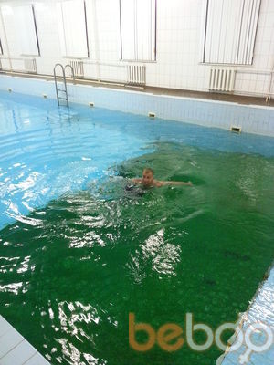 ���������� ������, ���� ������� ����, 43 ����, ������������ ��� ������, ����� � ���������, c�������� ���������