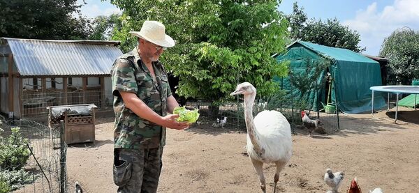  Bernau,   Wlad, 66 ,  