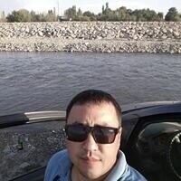  -,   , 38 ,   