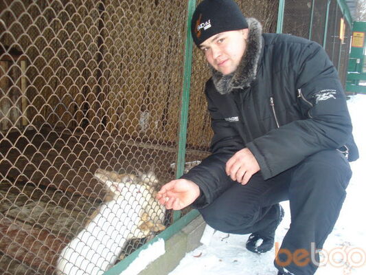  ,   Dima, 38 ,   ,   , c 