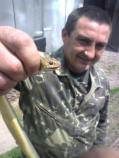  ,   , 54 ,   ,   , c 
