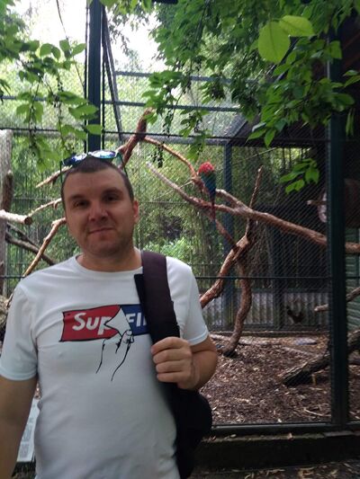  Esztergom,   , 41 ,   ,   