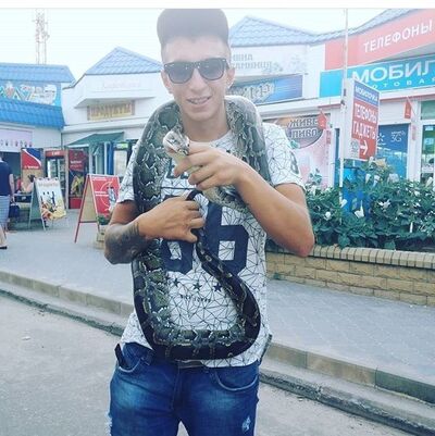   ,   , 29 ,   