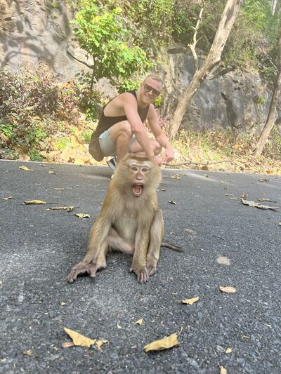  Phuket,   Alex, 36 ,   ,   