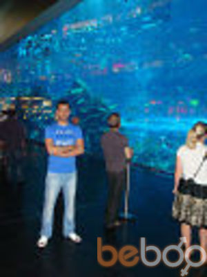  ,   Timur, 41 ,   ,   , c 