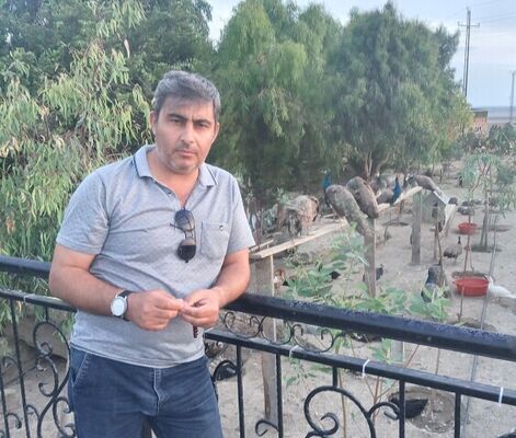  ,   Vuqar, 51 ,   ,   