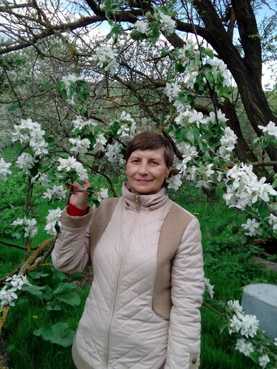  ,   , 70 ,   ,   