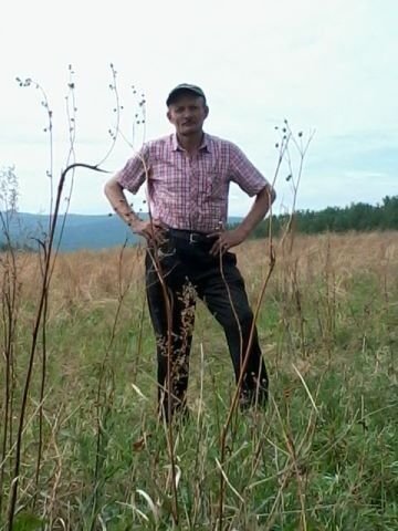 ,   , 55 ,   