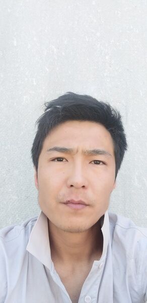  ,   Zamir, 33 ,   ,   , c 