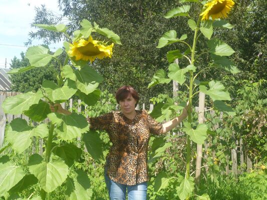  ,   , 55 ,   ,   