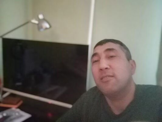  -,   , 41 ,   ,   