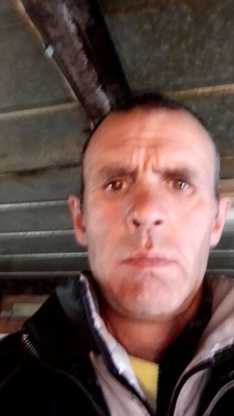  ,   , 51 ,   ,   , c , 