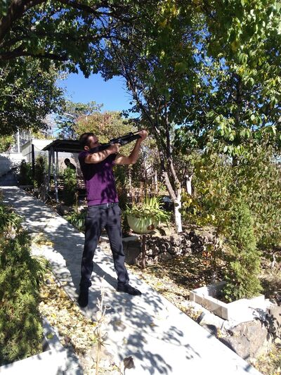  ,   Hamb, 34 ,   ,   , c 