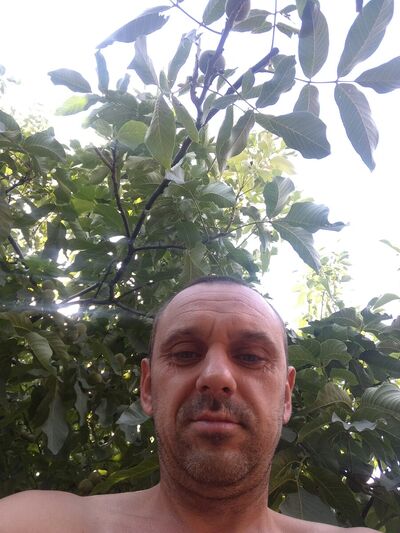  ,   , 41 ,   ,   , c 