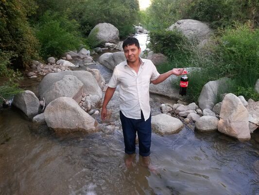  ,   , 38 ,     , c 