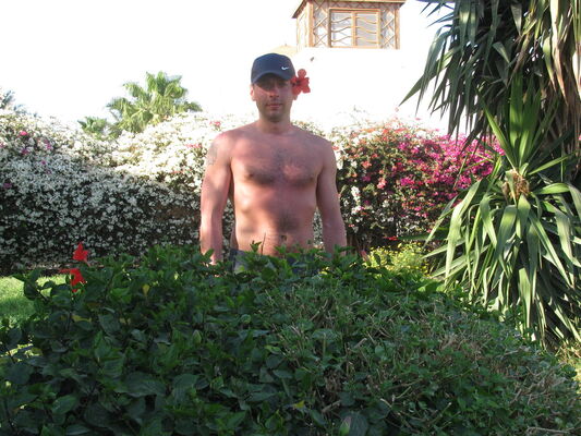  ,   , 41 ,     , c 
