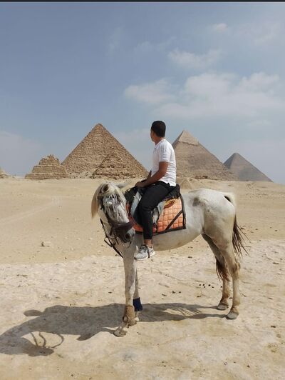  ,   Ahmed, 34 ,   ,   